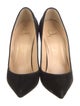 Christian Louboutin Velvet Pumps