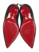 Christian Louboutin Velvet Pumps