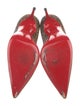 Christian Louboutin Printed Pumps