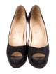Christian Louboutin Suede Pumps