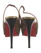 Christian Louboutin Animal Print Slingback Pumps