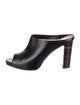 Christian Louboutin Leather Mules