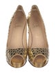 Christian Louboutin Pumps