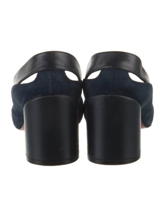 Christian Louboutin Suede Pumps