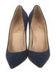 Christian Louboutin Suede Pumps