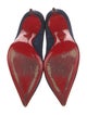 Christian Louboutin Suede Pumps