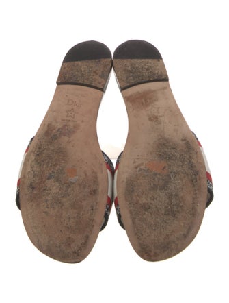 Christian Dior Leather Printed Mules