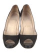 Christian Louboutin Suede Pumps