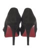 Christian Louboutin Suede Pumps