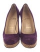 Christian Louboutin Suede Pumps