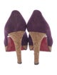 Christian Louboutin Suede Pumps