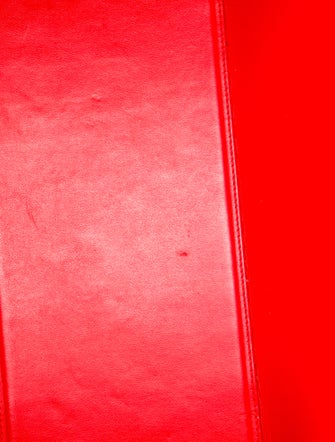 Christian Louboutin Spike Cabata