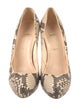 Christian Louboutin Snakeskin Animal Print Pumps