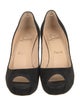 Christian Louboutin Suede Pumps
