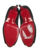 Christian Louboutin Suede Pumps