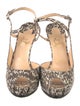 Christian Louboutin Snakeskin Animal Print Sandals