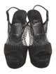 Christian Louboutin Suede Crystal Embellishments Slingback Sandals