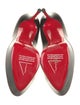 Christian Louboutin Leather Pumps