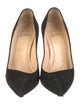 Christian Louboutin Suede Pumps