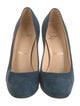 Christian Louboutin Suede Pumps