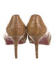 Christian Louboutin Pumps