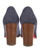 Christian Louboutin Denim Pumps