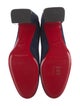 Christian Louboutin Suede Pumps