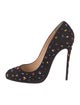 Christian Louboutin Suede Crystal Embellishments Pumps