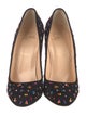 Christian Louboutin Suede Crystal Embellishments Pumps