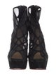 Christian Louboutin Suede Mesh Accents Pumps