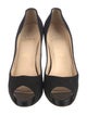 Christian Louboutin Suede Pumps
