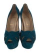 Christian Louboutin Suede Lasercut Accents Pumps