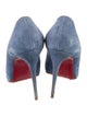 Christian Louboutin Suede Pumps