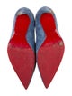 Christian Louboutin Suede Pumps