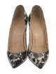 Christian Louboutin Patent Leather Printed Pumps