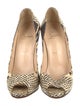 Christian Louboutin Snakeskin Animal Print Pumps