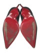 Christian Louboutin Suede Pumps