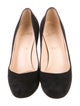 Christian Louboutin Suede Pumps