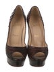 Christian Louboutin Snakeskin Animal Print Pumps