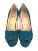 Christian Louboutin Suede Pumps