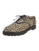 Charlotte Olympia Ponyhair Animal Print Oxfords