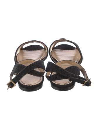 Charlotte Olympia Mesh Beaded Accents T-Strap Sandals