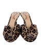Charlotte Olympia Canvas Animal Print Slides