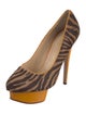 Charlotte Olympia Ponyhair Animal Print Pumps