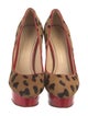 Charlotte Olympia Ponyhair Animal Print Pumps