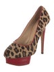 Charlotte Olympia Ponyhair Animal Print Pumps