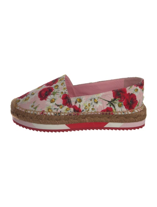 Dolce & Gabbana Canvas Floral Print Espadrilles