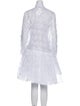 Comme des Garçons Comme des Garçons 2022 Mini Dress