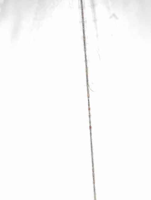 Comme des Garçons Leather Portfolio