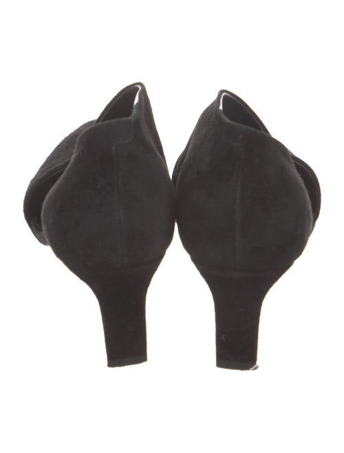 Co. Suede Grosgrain Trim Boots